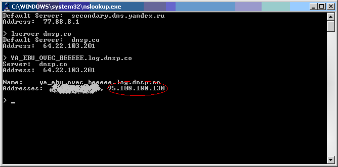 Проверяем, не подменяют ли провайдеры DNS, скриншот 2