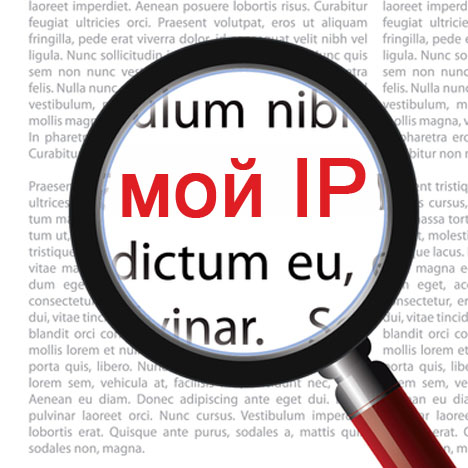 Бесплатная проверка вашего IP на анонимность