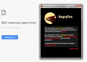 angryfox-anonimajzer.jpg